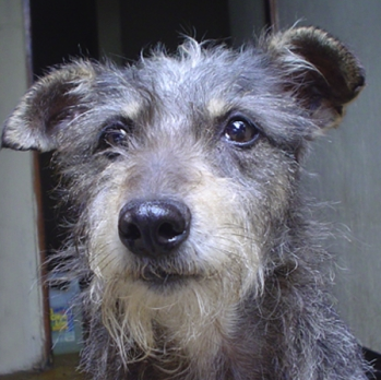 Juan Lucas Conquistador Segundo de su nombre