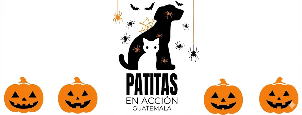 Patitas En Acción Guatemala
